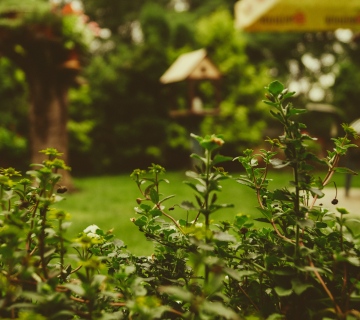 6 Budget-Friendly Garden Makeover Ideas